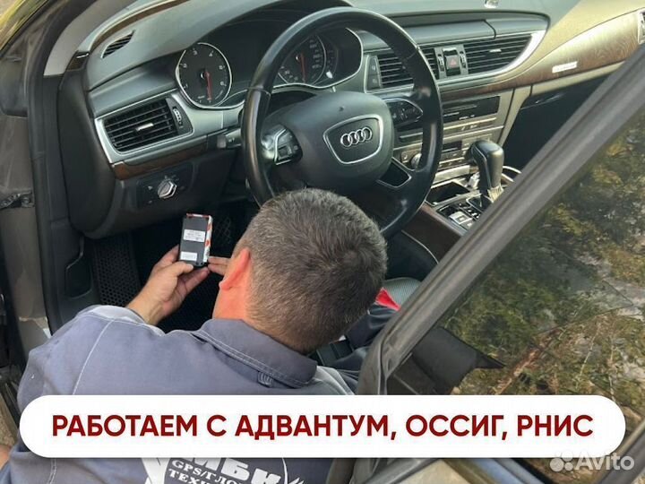 GPS Трекеры для рнис