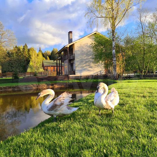 Участок 12,5 сот. (ИЖС)