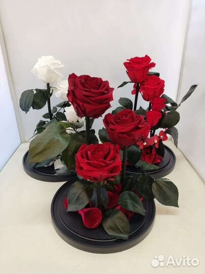 Роза в колбе оптом