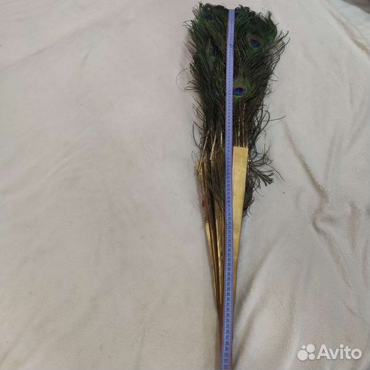 Веер из пера павлина