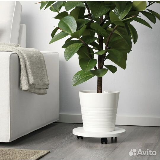 Набор 6 шт керамических кашпо IKEA Мускот