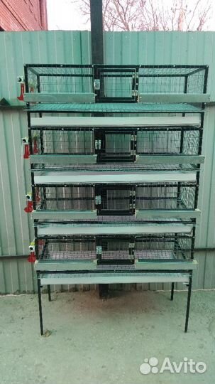 Клетки для перепелов, кур, кроликов