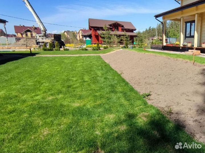 Качественный газон премиальный