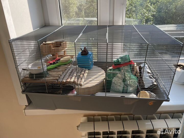 Клетка для хомяка с аксессуарами