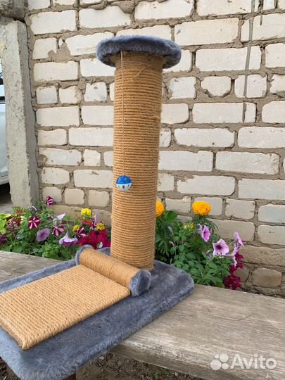 Когтеточка