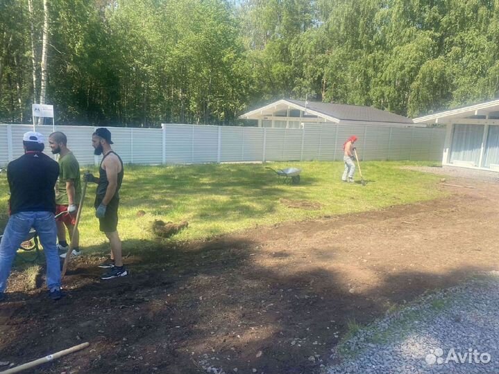 Рулонный газон под ключ