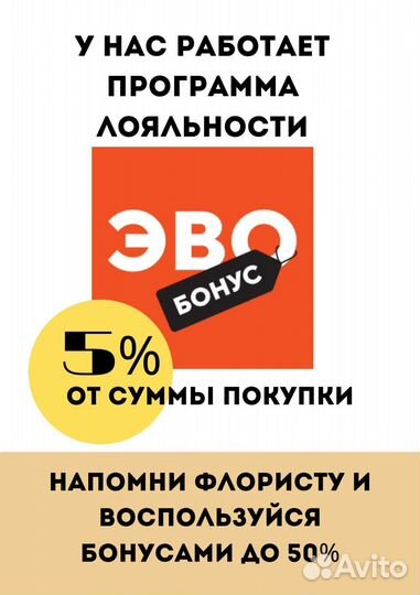 Фикус Тенике Комнатные растения Тюмень