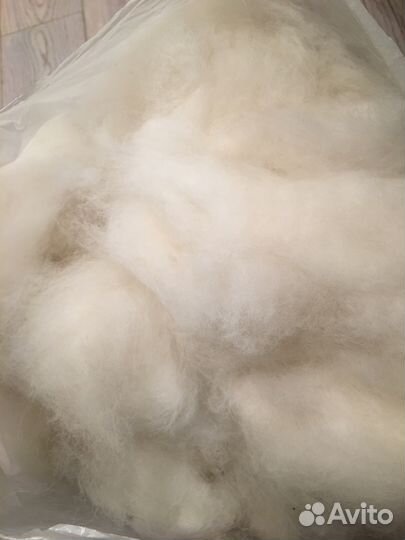Шерсть самоеда