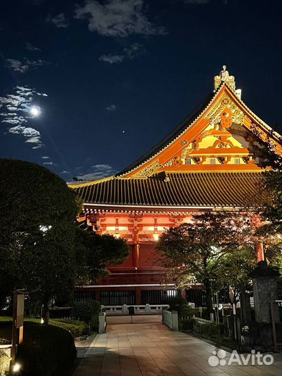 Репетитор по японскому и английскому языкам