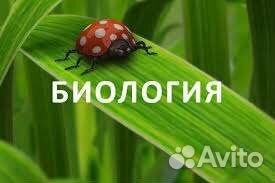 Репетитор по химии и биологии