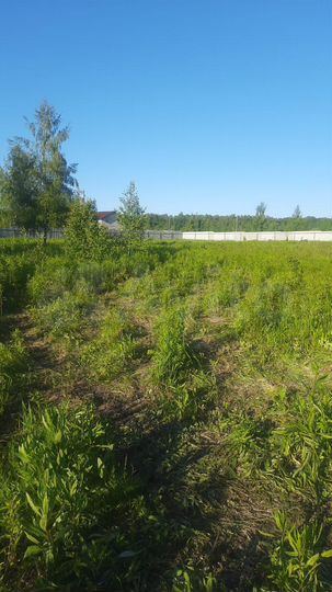 Участок 30 сот. (ИЖС)