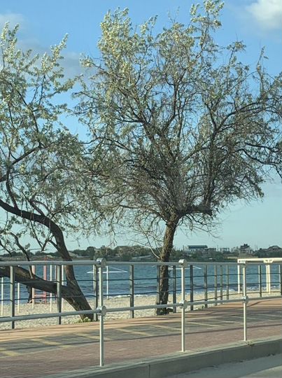 Участок 1,2 га (СНТ, ДНП)