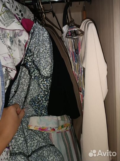 Женская одежда