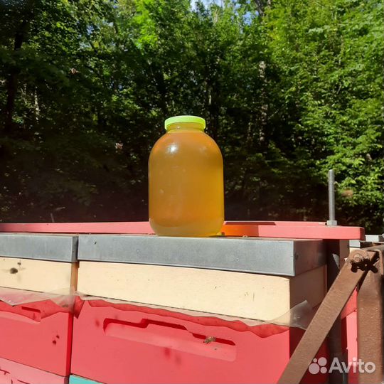 Мед Липа 2023. Соты. Майский. Пыльца