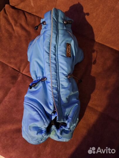 Одежда для собак мелких пород зима