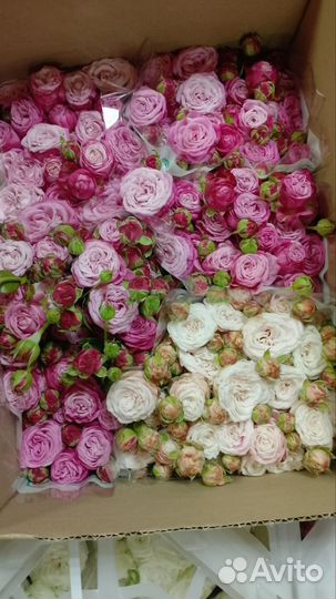 Продавец цветов в ночь