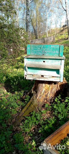 Улей для пчел