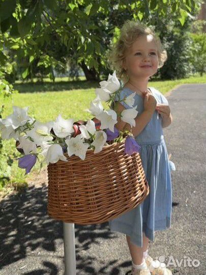 Реквизит для фотосессии