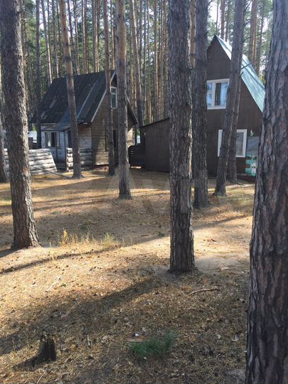 Участок 91,8 сот. (СНТ, ДНП)