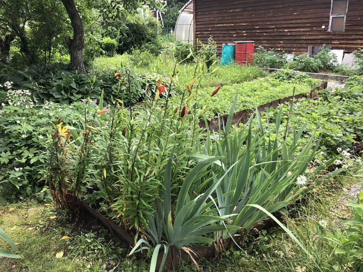 Дом 14 м² на участке 4 сот.