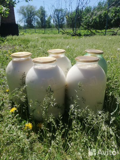 Жир свиной смалец