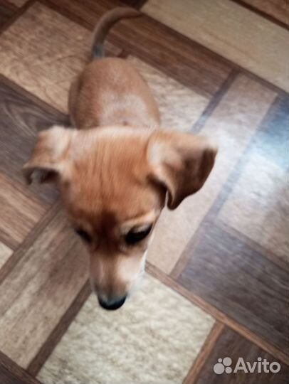 Маленькая девочка