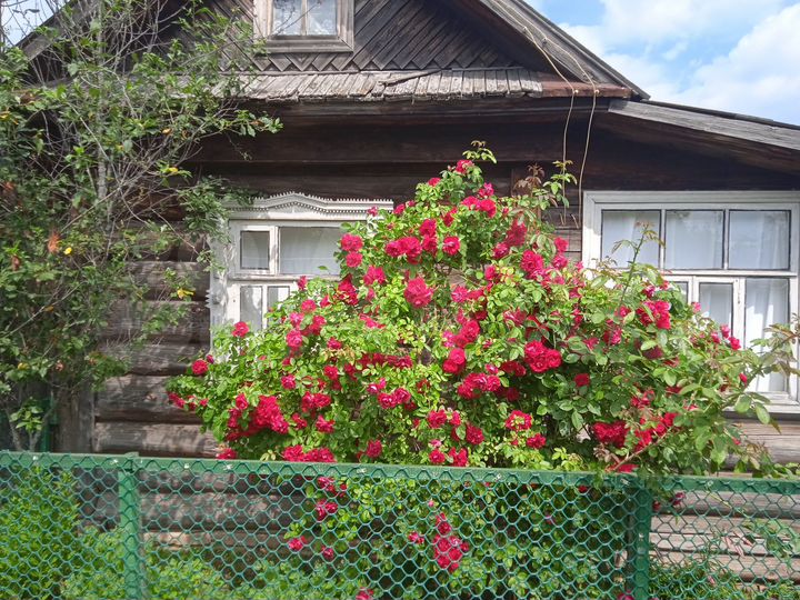 Дача 16 м² на участке 6 сот.