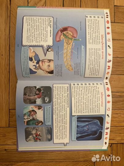 Большая энциклопедия Тело человека