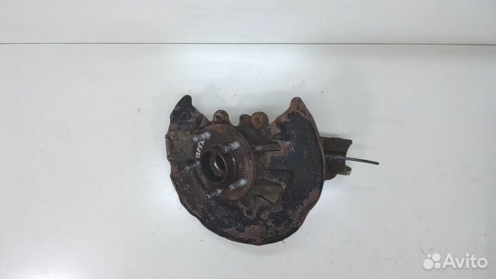 Ступица (кулак, цапфа) Ford Kuga, 2008