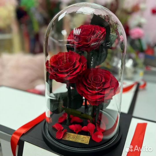 Роза в колбе