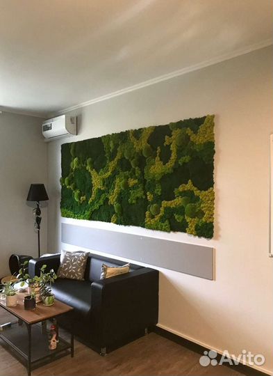 Мох стабилизированный фитокартина фитостена панно