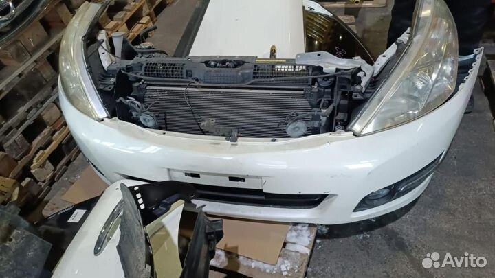 Ноускат Nissan Teana J32