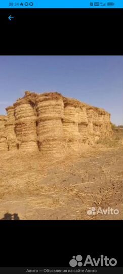 Продам сено