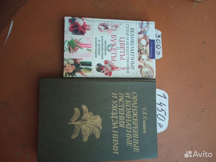 Продам цветы комнатные