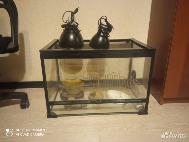 Стеклянный террариум