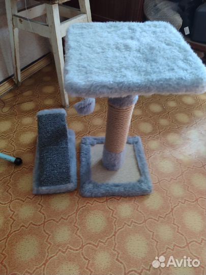 Набор для кошек