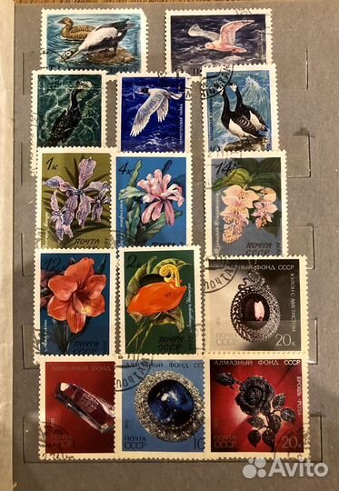 Коллекция марок СССР (более 300 шт)