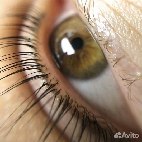 Ламинирование ресниц, вельвет, бровей опыт 6лет