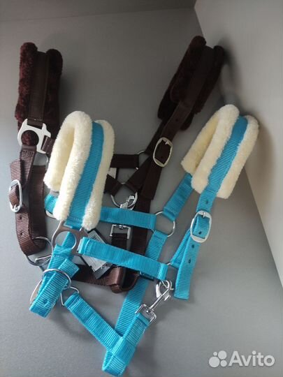 Недауздок для лошади