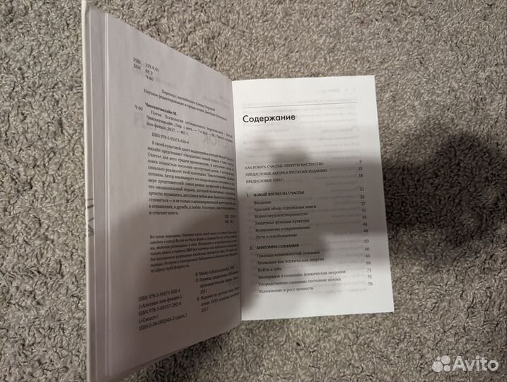 Поток Михай Чиксентмихайи