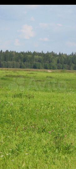 Участок 3,31 га (СНТ, ДНП)