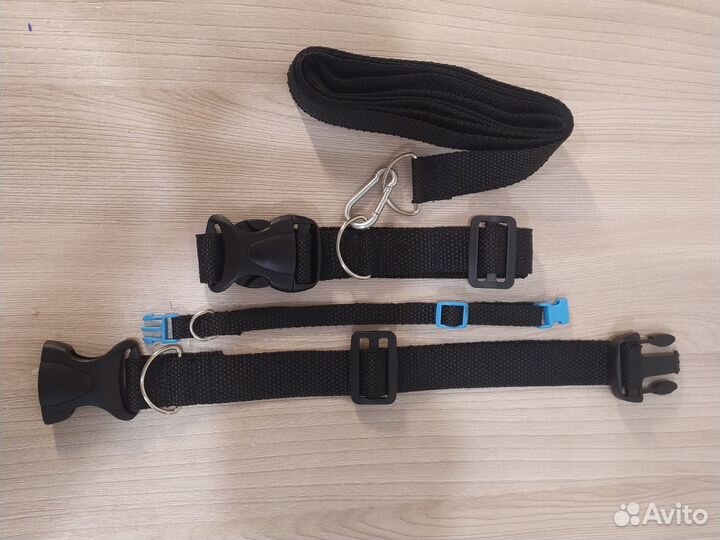 Ошейники для собак