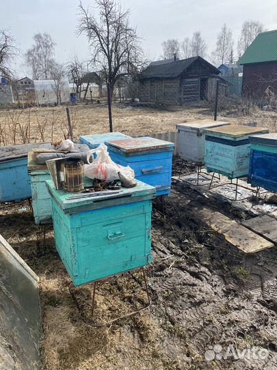 Продам ульи для пчел