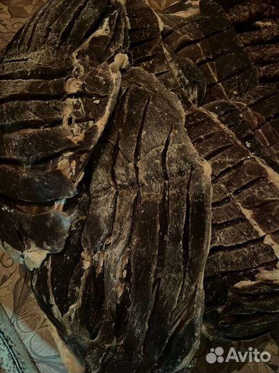 Сушеное мясо и колбаса