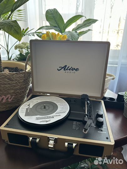 Виниловый проигрыватель alive audio