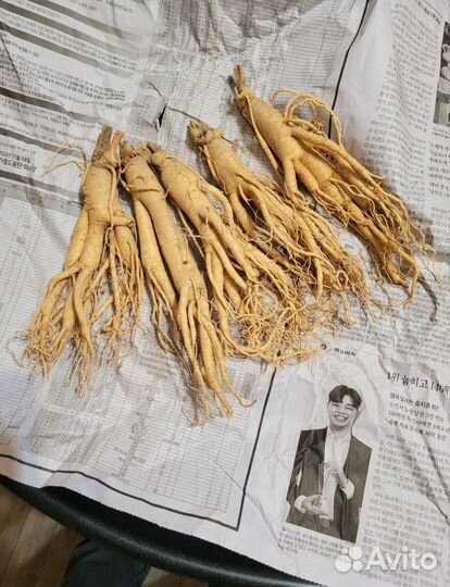 Корень женьшеня