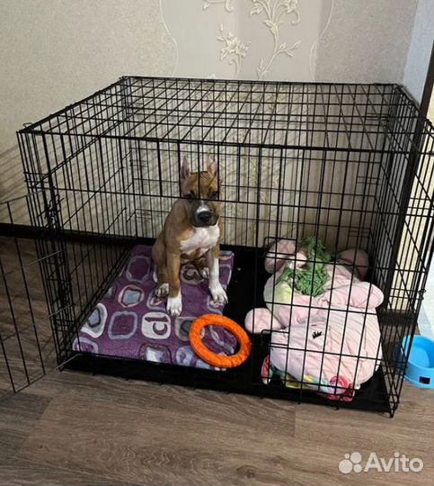 Клетка для собак антивандальная, усиленная №5