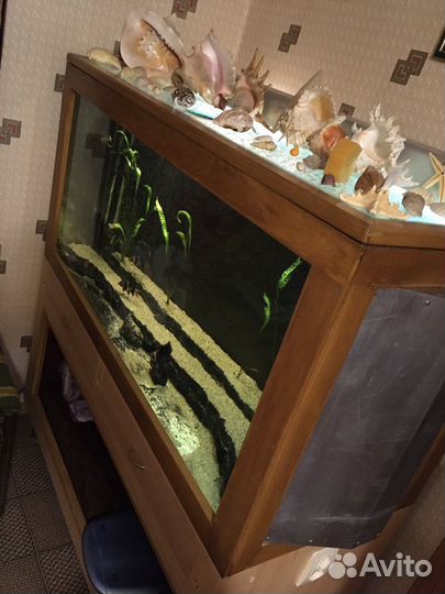 Аквариум