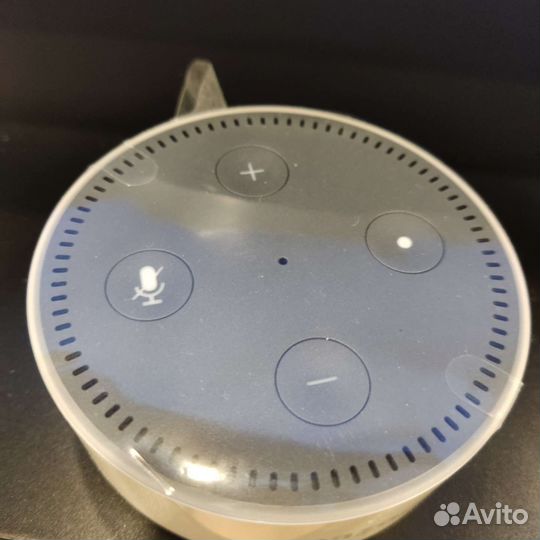 Amazon Ehodot, колонка