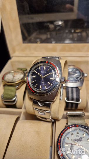 Восток Амфибия 